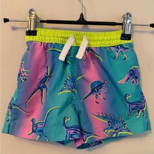 Chubbies Dinosaur Swim Trunks